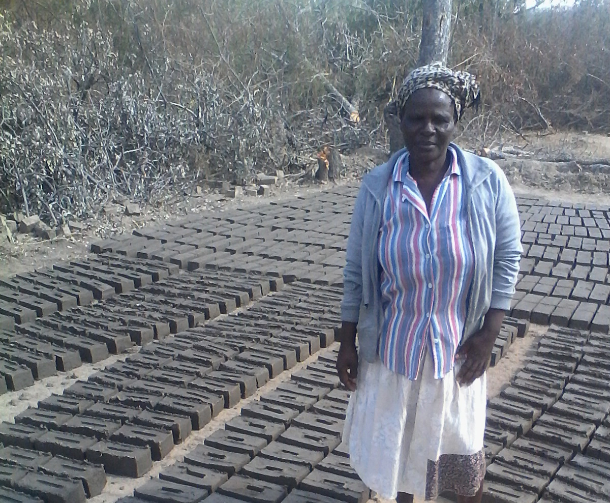 Zimbabwean farmers in a productive agricultural field